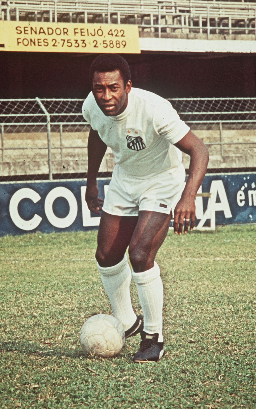 foton